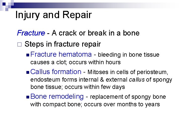 Injury and Repair Fracture - A crack or break in a bone ¨ Steps Injury and Repair Fracture - A crack or break in a bone ¨ Steps