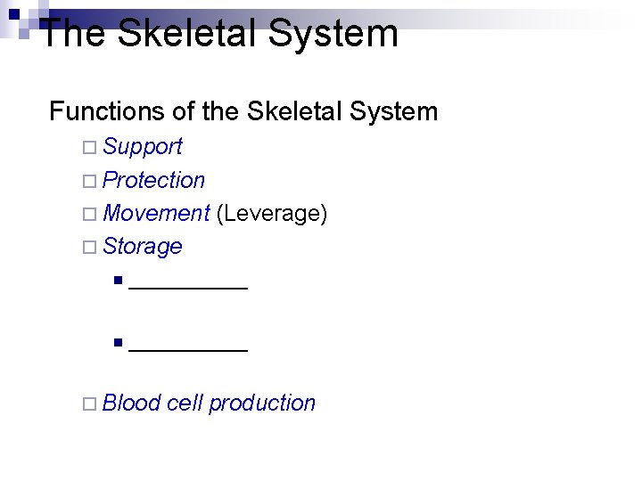 The Skeletal System Functions of the Skeletal System ¨ Support ¨ Protection ¨ Movement The Skeletal System Functions of the Skeletal System ¨ Support ¨ Protection ¨ Movement