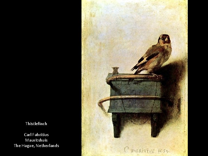 Thistlefinch Carl Fabritius Mauritshuis The Hague, Netherlands 