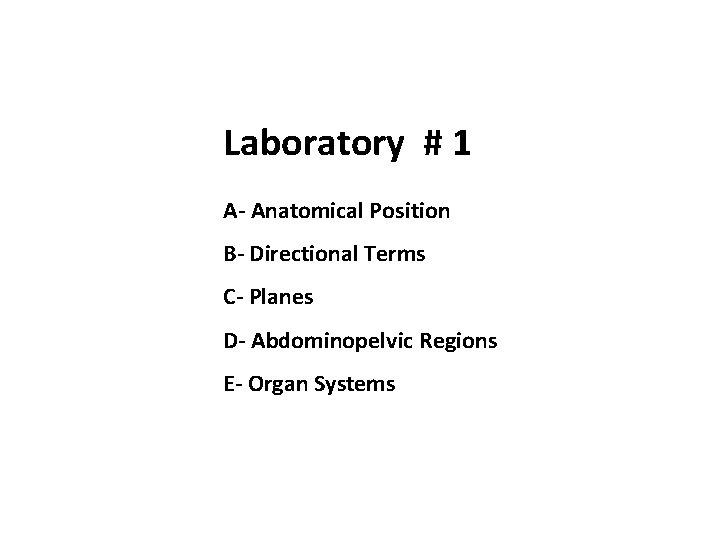 Laboratory # 1 A- Anatomical Position B- Directional Terms C- Planes D- Abdominopelvic Regions