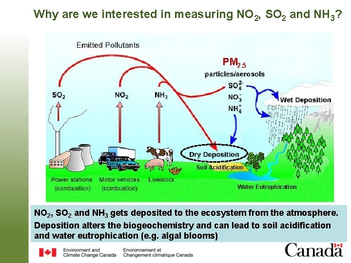 Why are we interested in measuring NO 2, SO 2 and NH 3? PM