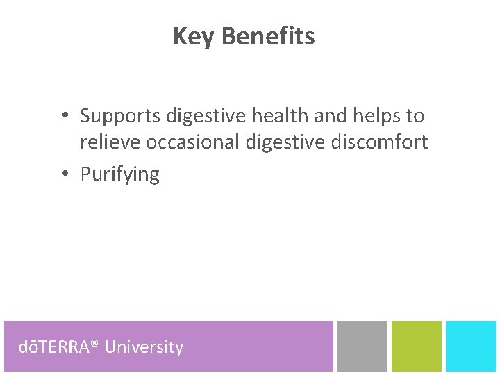 Key Benefits • Supports digestive health and helps to relieve occasional digestive discomfort •