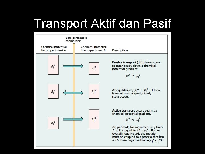 Transport Aktif dan Pasif 