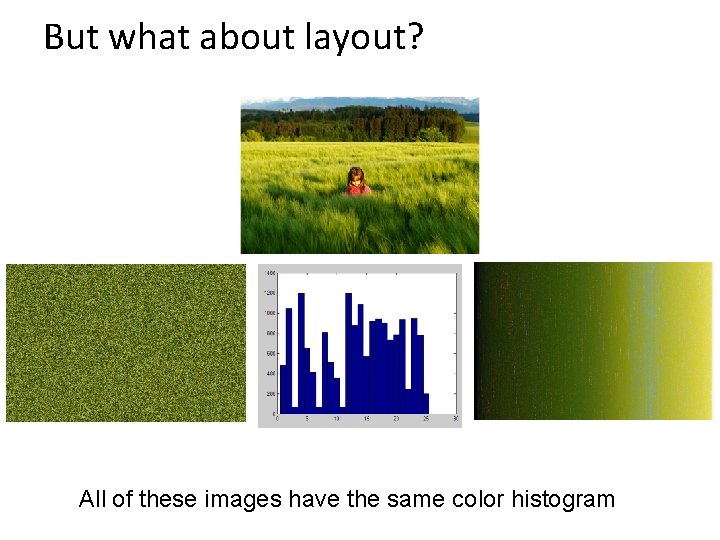 But what about layout? All of these images have the same color histogram 