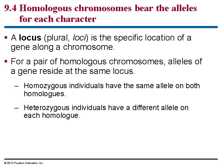 9. 4 Homologous chromosomes bear the alleles for each character A locus (plural, loci)