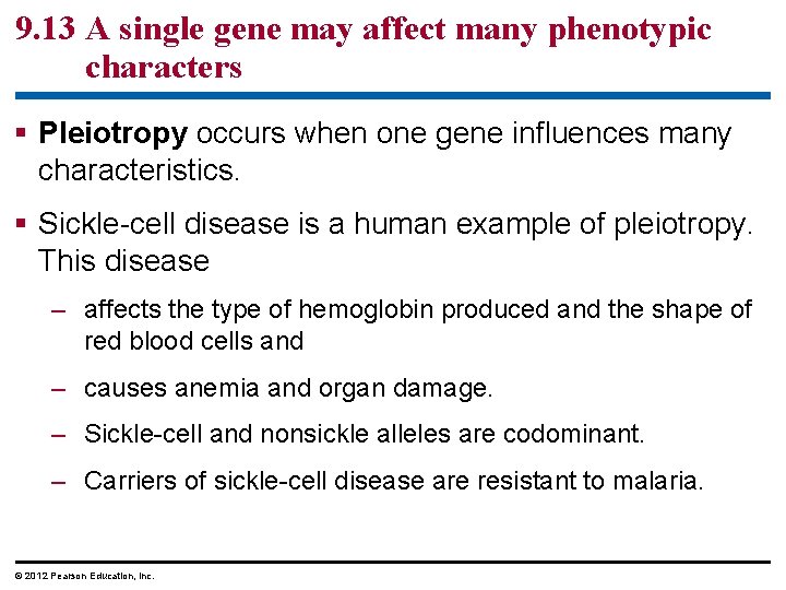9. 13 A single gene may affect many phenotypic characters Pleiotropy occurs when one