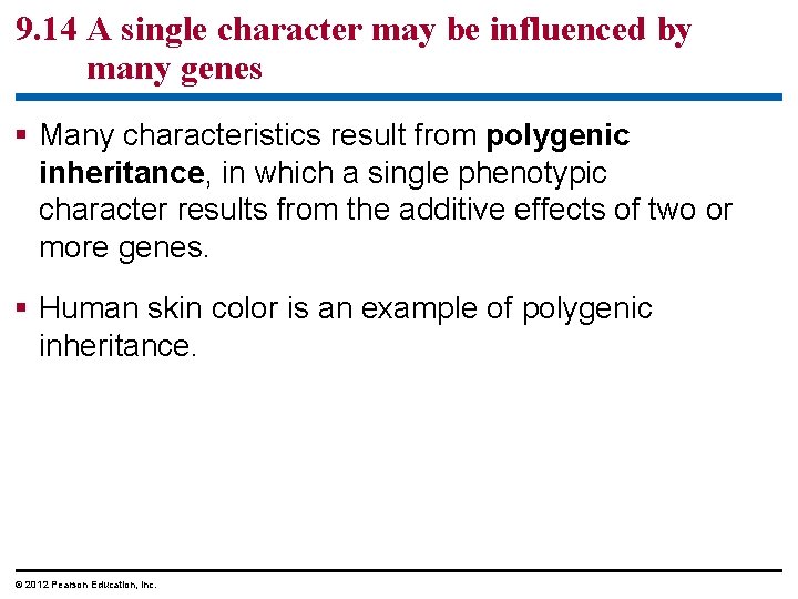 9. 14 A single character may be influenced by many genes Many characteristics result