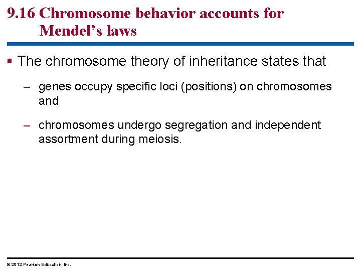 9. 16 Chromosome behavior accounts for Mendel’s laws The chromosome theory of inheritance states