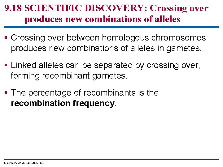 9. 18 SCIENTIFIC DISCOVERY: Crossing over produces new combinations of alleles Crossing over between