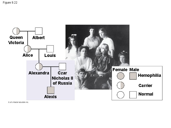 Figure 9. 22 Queen Victoria Albert Alice Louis Alexandra Czar Nicholas II of Russia