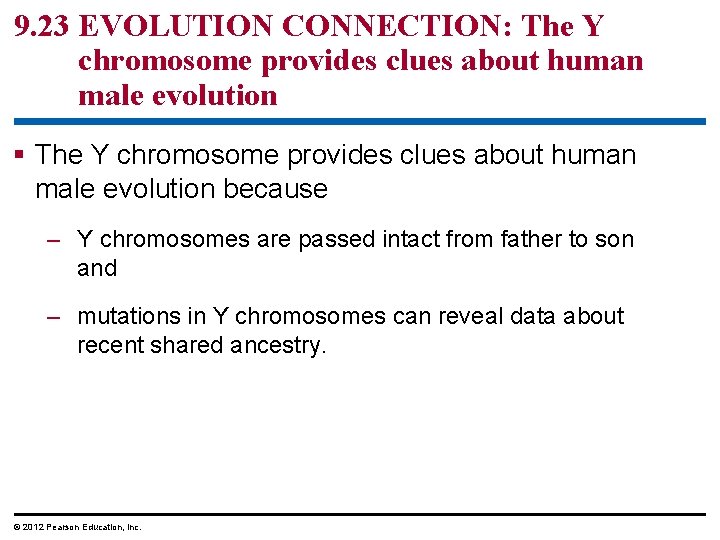 9. 23 EVOLUTION CONNECTION: The Y chromosome provides clues about human male evolution because