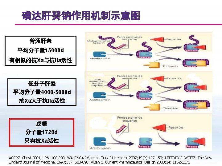 磺达肝癸钠作用机制示意图 普通肝素 平均分子量 15000 d 有相似的抗Xa与抗IIa活性 低分子肝素 平均分子量 4000 -5000 d 抗Xa大于抗IIa活性 戊糖 分子量