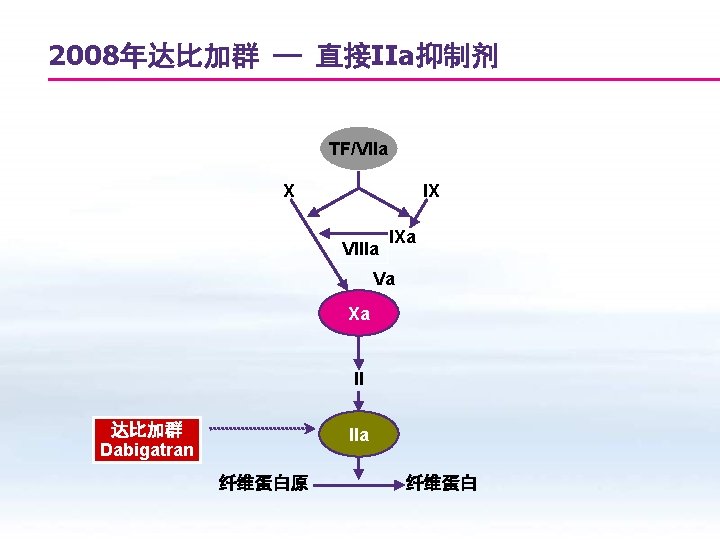2008年达比加群 — 直接IIa抑制剂 TF/VIIa X IX VIIIa IXa Va Xa II 达比加群 Dabigatran IIa
