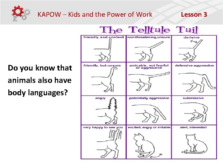 KAPOW – Kids and the Power of Work Do you know that animals also