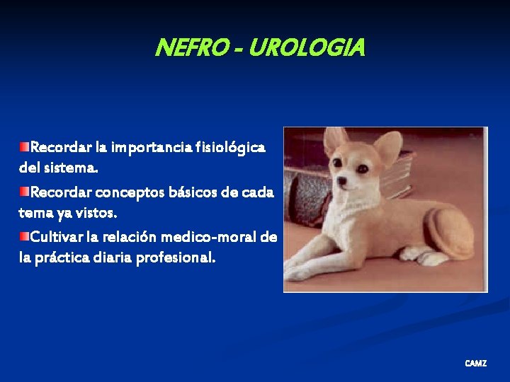 NEFRO - UROLOGIA Recordar la importancia fisiológica del sistema. Recordar conceptos básicos de cada