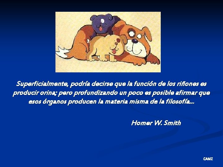 Superficialmente, podría decirse que la función de los riñones es producir orina; pero profundizando