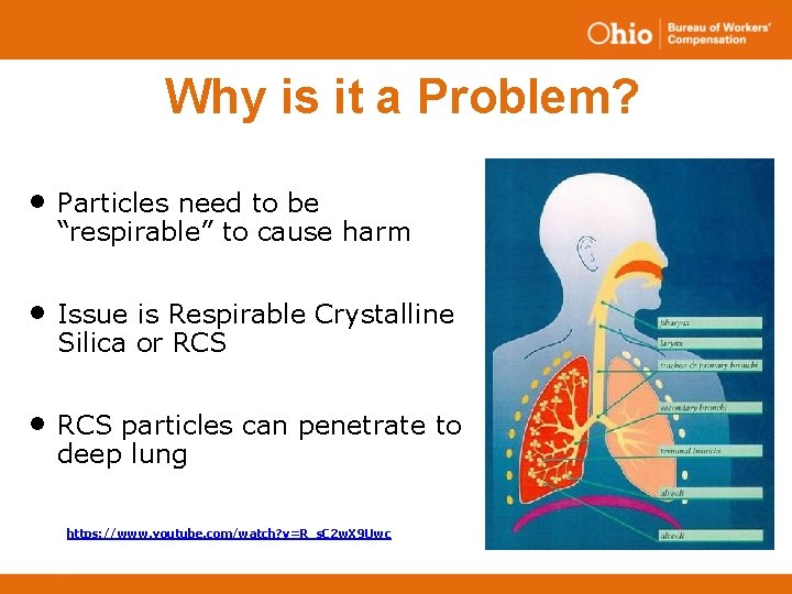 Why is it a Problem? • Particles need to be “respirable” to cause harm