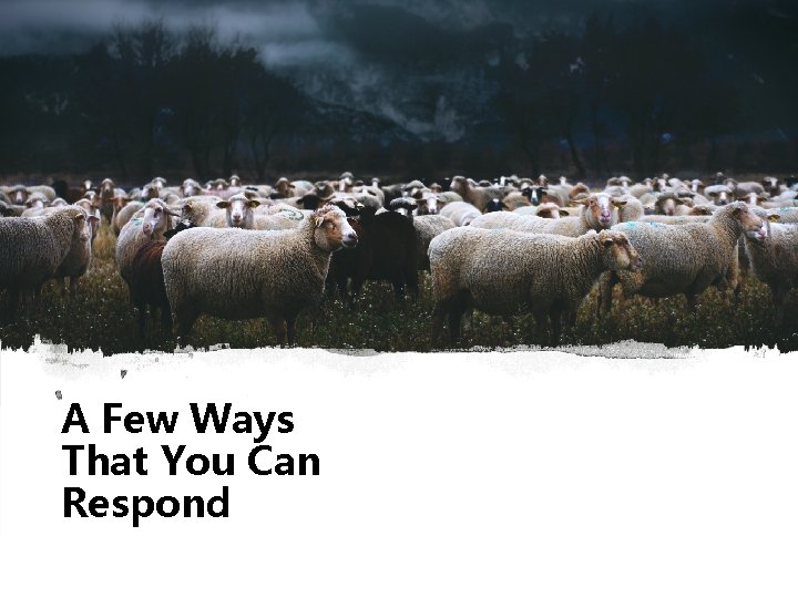 A Few Ways That You Can Respond 