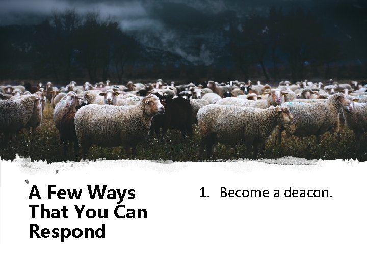 A Few Ways That You Can Respond 1. Become a deacon. 