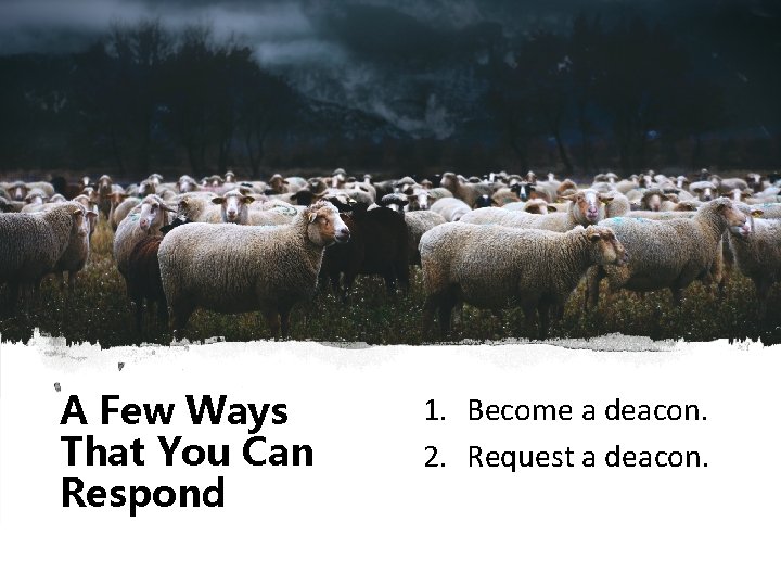 A Few Ways That You Can Respond 1. Become a deacon. 2. Request a