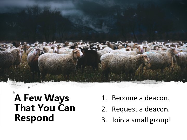 A Few Ways That You Can Respond 1. Become a deacon. 2. Request a