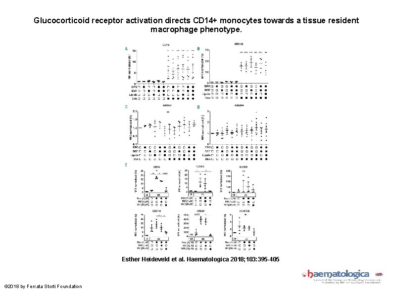 Glucocorticoid receptor activation directs CD 14+ monocytes towards a tissue resident macrophage phenotype. Esther