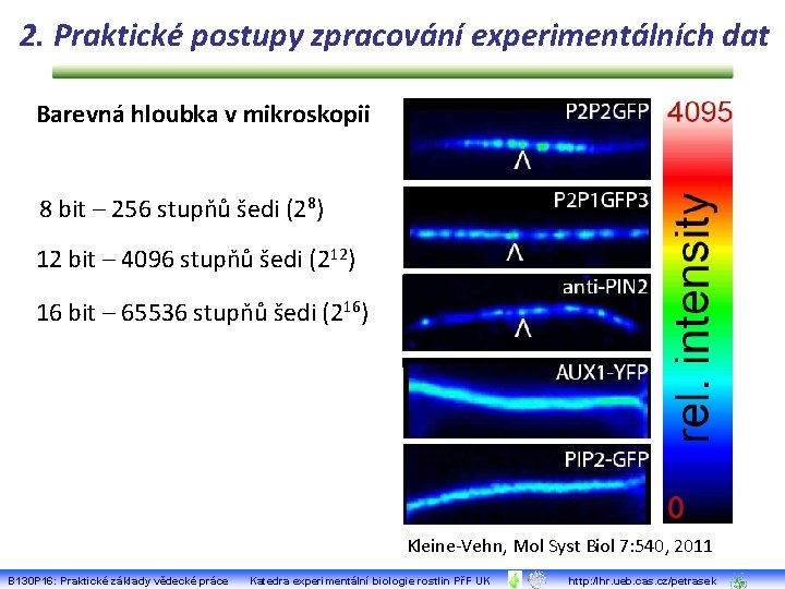 2. Praktické postupy zpracování experimentálních dat Barevná hloubka v mikroskopii 8 bit – 256