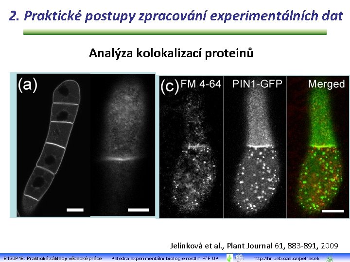 2. Praktické postupy zpracování experimentálních dat Analýza kolokalizací proteinů Jelínková et al. , Plant