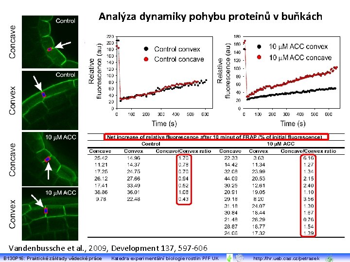 Analýza dynamiky pohybu proteinů v buňkách Vandenbussche et al. , 2009, Development 137, 597