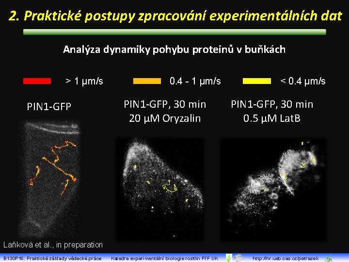2. Praktické postupy zpracování experimentálních dat Analýza dynamiky pohybu proteinů v buňkách > 1