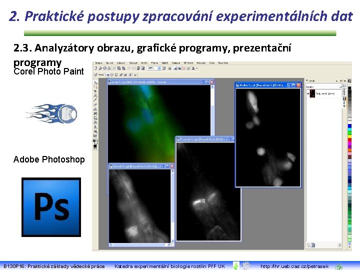 2. Praktické postupy zpracování experimentálních dat 2. 3. Analyzátory obrazu, grafické programy, prezentační programy