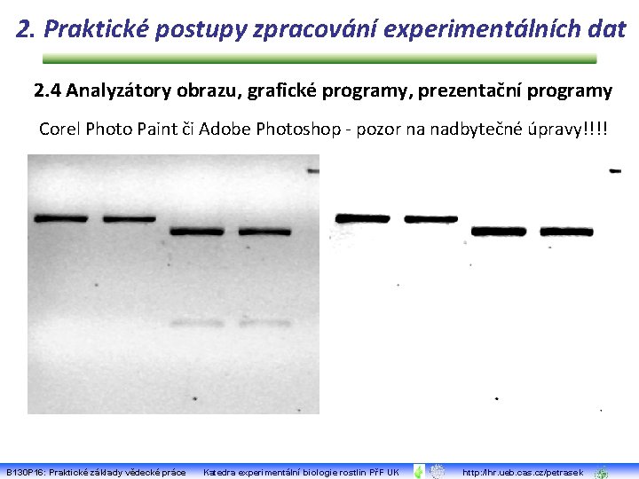 2. Praktické postupy zpracování experimentálních dat 2. 4 Analyzátory obrazu, grafické programy, prezentační programy