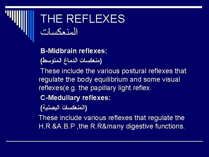 THE REFLEXES ﺍﻟﻤﻨﻌﻜﺴﺎﺕ B-Midbrain reflexes: ( )ﻣﻨﻌﻜﺴﺎﺕ ﺍﻟﺪﻣﺎﻍ ﺍﻟﻤﺘﻮﺳﻂ These include the various postural