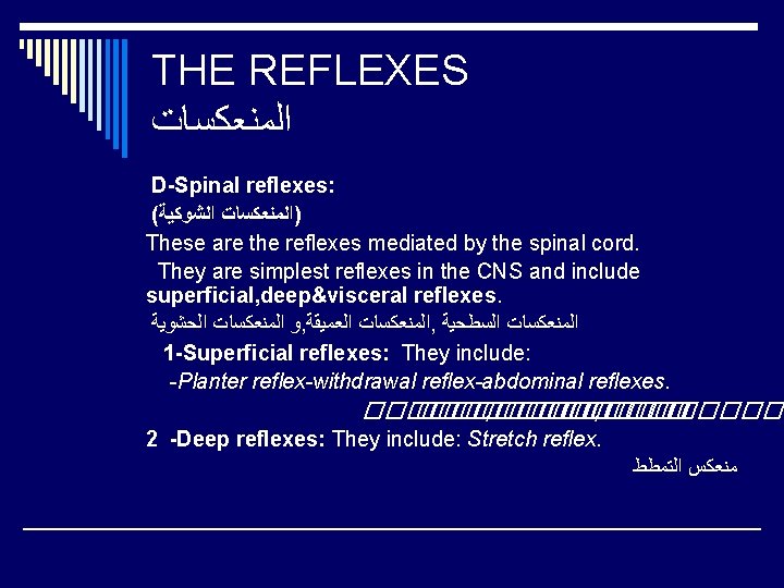 THE REFLEXES ﺍﻟﻤﻨﻌﻜﺴﺎﺕ D-Spinal reflexes: ( )ﺍﻟﻤﻨﻌﻜﺴﺎﺕ ﺍﻟﺸﻮﻛﻴﺔ These are the reflexes mediated by