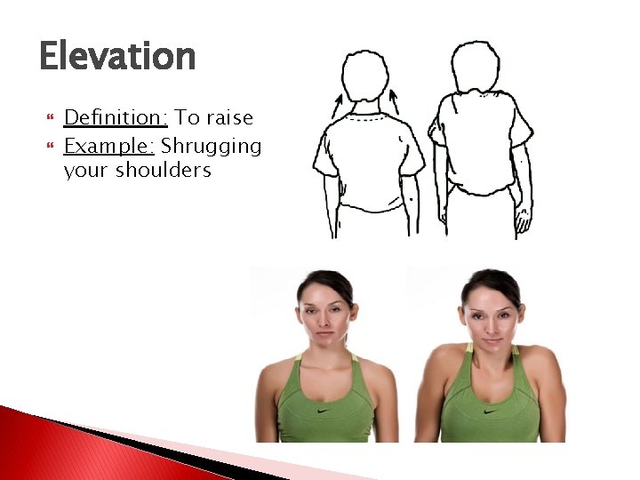 Elevation Definition: To raise Example: Shrugging your shoulders 