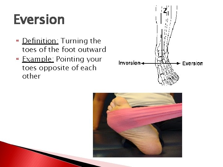Eversion Definition: Turning the toes of the foot outward Example: Pointing your toes opposite