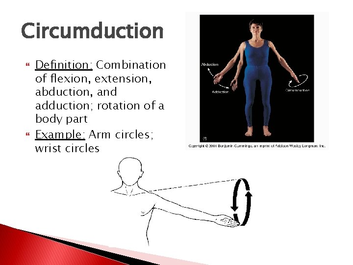 Circumduction Definition: Combination of flexion, extension, abduction, and adduction; rotation of a body part