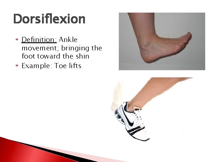 Dorsiflexion Definition: Ankle movement; bringing the foot toward the shin Example: Toe lifts 