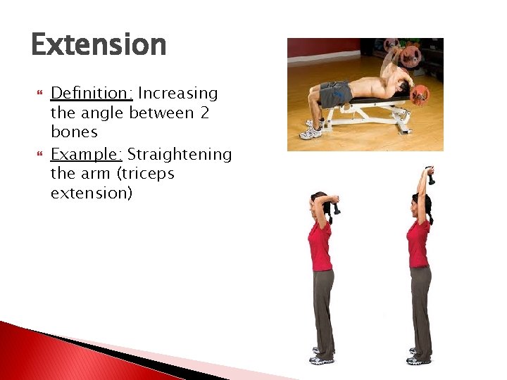 Extension Definition: Increasing the angle between 2 bones Example: Straightening the arm (triceps extension)