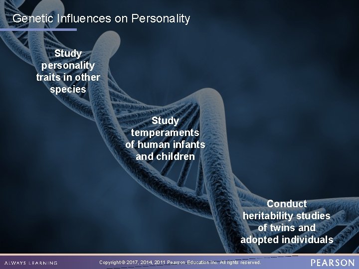 Genetic Influences on Personality Study personality traits in other species Study temperaments of human Genetic Influences on Personality Study personality traits in other species Study temperaments of human