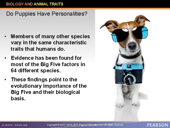 BIOLOGY AND ANIMAL TRAITS Do Puppies Have Personalities? • Members of many other species