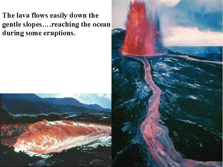 The lava flows easily down the gentle slopes…. reaching the ocean during some eruptions.