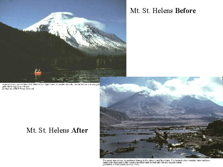 Mt. St. Helens Before Mt. St. Helens After 