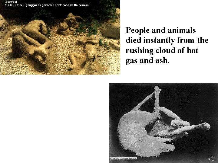 People and animals died instantly from the rushing cloud of hot gas and ash.