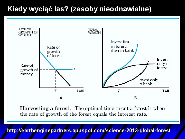 Kiedy wyciąć las? (zasoby nieodnawialne) http: //earthenginepartners. appspot. com/science-2013 -global-forest 