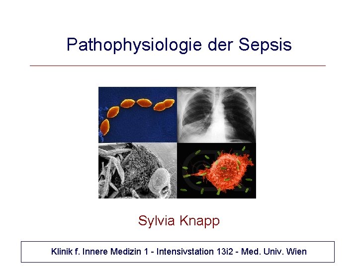 Pathophysiologie der Sepsis Sylvia Knapp Klinik f. Innere Medizin 1 - Intensivstation 13 i