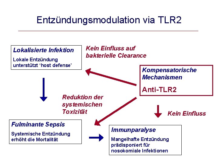 Entzündungsmodulation via TLR 2 Lokalisierte Infektion Lokale Entzündung unterstützt ‘host defense’ Kein Einfluss auf