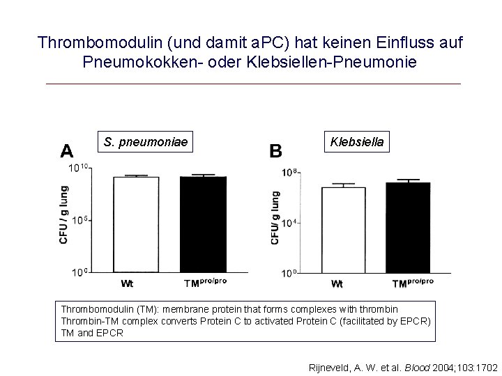 Thrombomodulin (und damit a. PC) hat keinen Einfluss auf Pneumokokken- oder Klebsiellen-Pneumonie S. pneumoniae