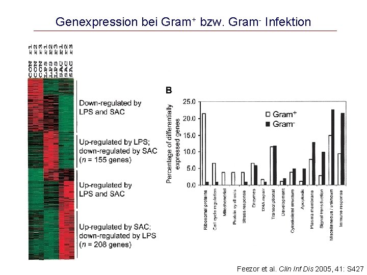 Genexpression bei Gram+ bzw. Gram- Infektion Feezor et al. Clin Inf Dis 2005, 41: