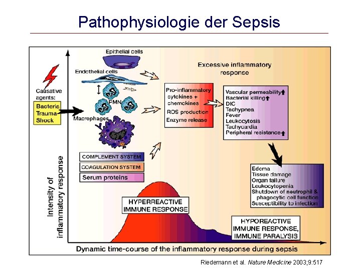 Pathophysiologie der Sepsis Riedemann et al. Nature Medicine 2003; 9: 517 